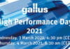 Gallus