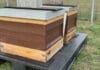 labelprint24, Bienen,