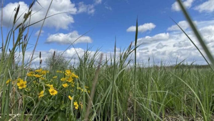 UPM Raflatac, WWF, Nachhaltigkeit, Kreislaufwirtschaft,